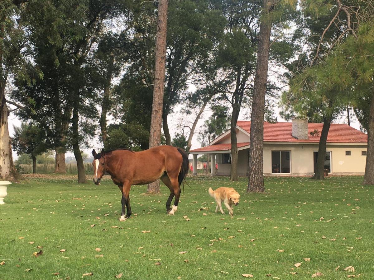 La Sonada Villa Lobos Luaran gambar